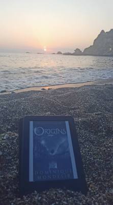 14317425_1073556086097336_6934334155606280693_n