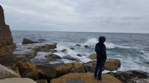 14915709_1117420498377561_1836158662679313544_n